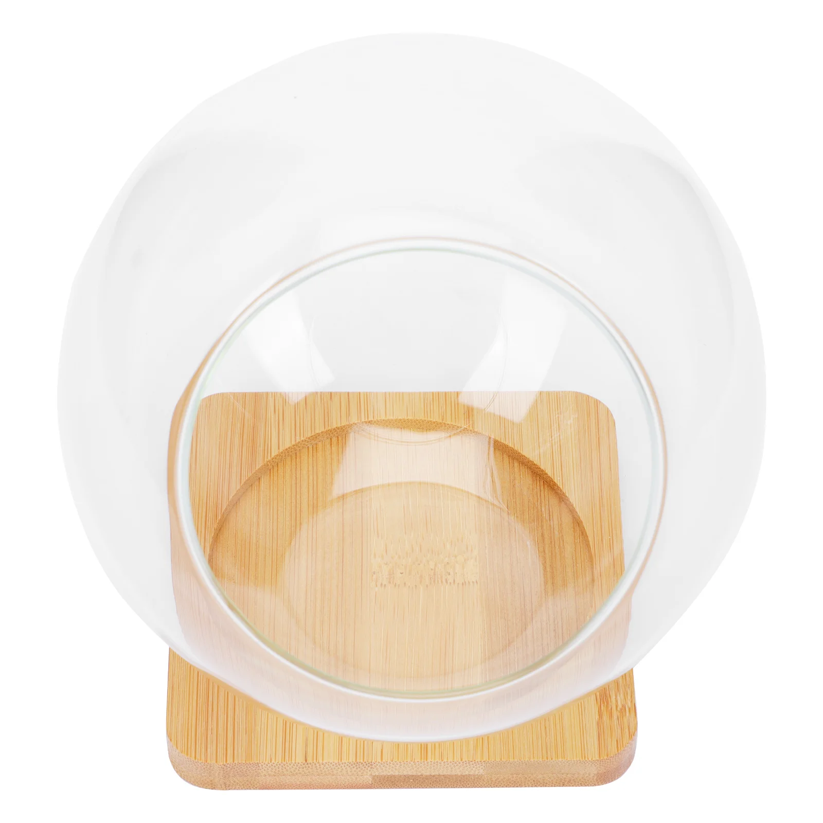 

Terrarium Vaseplanter Air Succulent Hanging Holder Globe Bowl Containerdisplaypotclear Tabletop Decorative Tea Lightlandscape