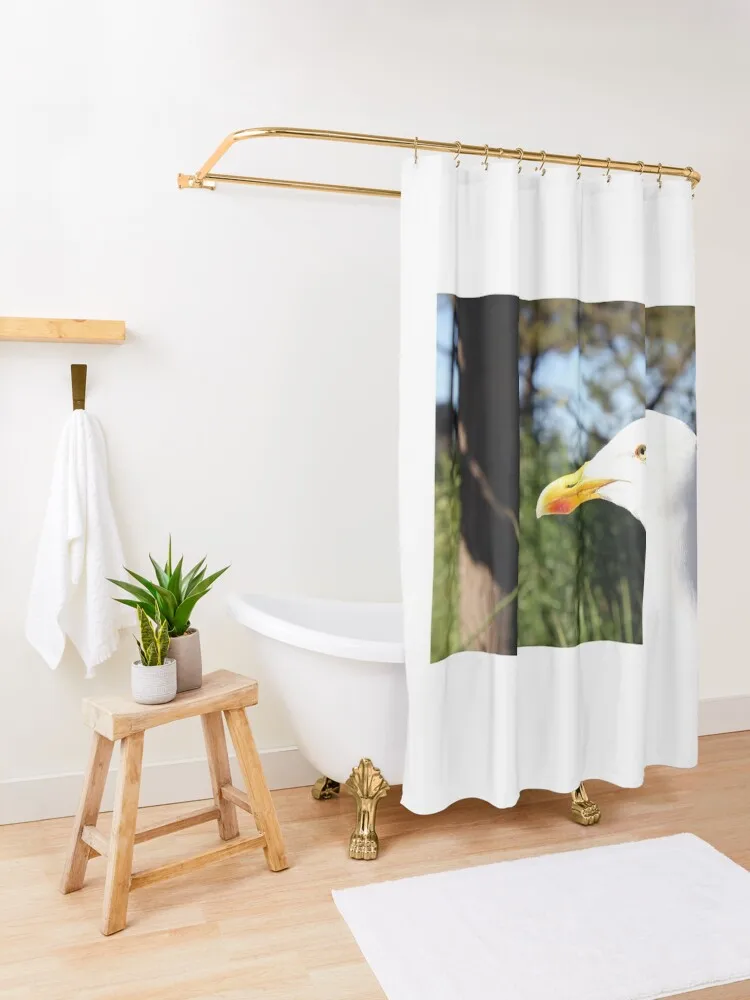 Занавеска для душа Чайка на Руген |