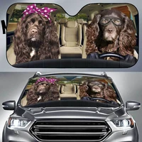 funny boykin spaniel dogs couple driving left hand car sunshade boykin spaniel dogs wearing pink headband and glasses auto sun