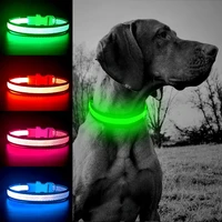 usb charging led dog collar anti lostavoid car accident collar for dogs puppies dog collars leads led supplies pet products