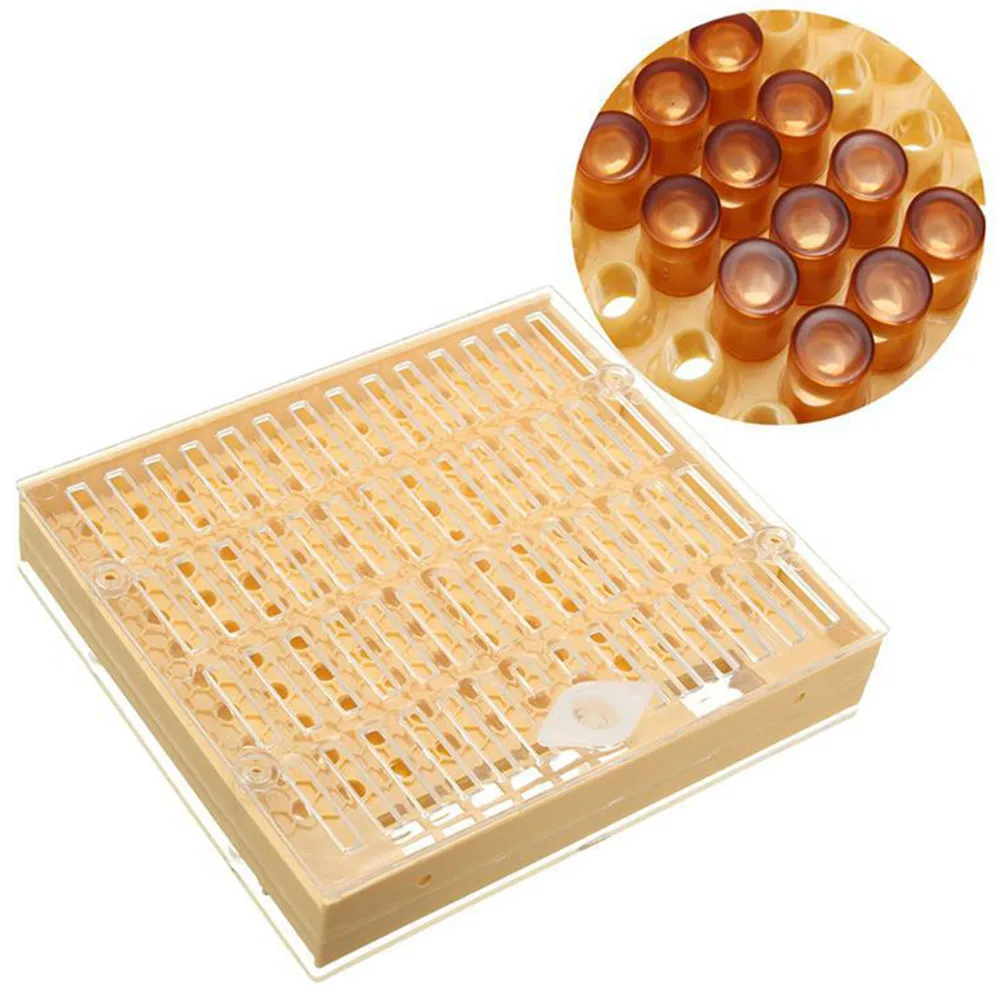 

Queen Rearing System 100 Cell Cups Plastic Catcher Cage Durable Tools Cupkit Beekeeping Tool Kit Practical Apiculture Helper