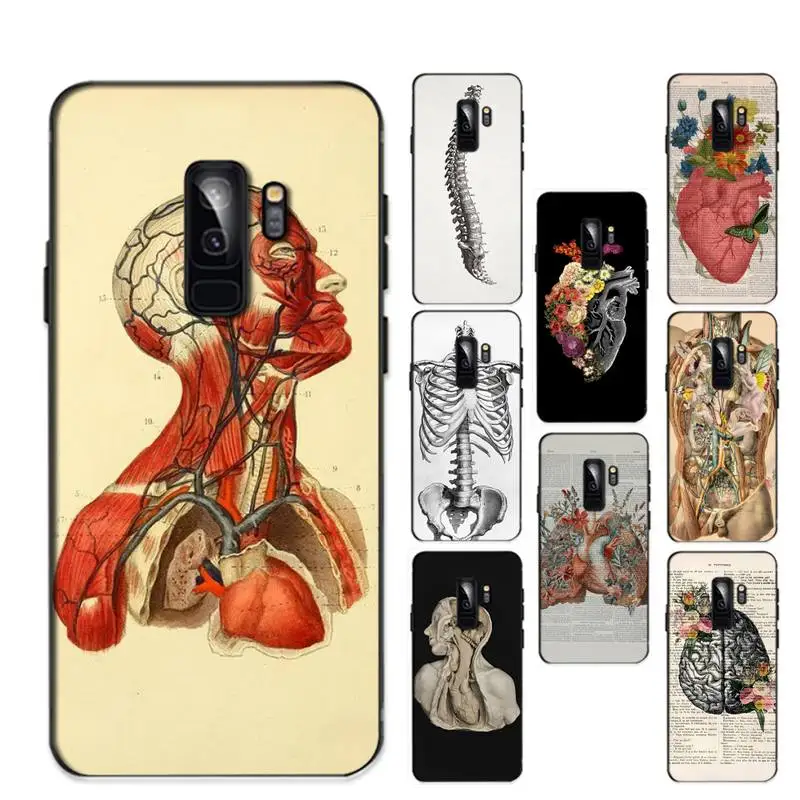 

RuiCaiCa Medical Human Anatomy Phone Case for Redmi 8 9 9A for Samsung J5 J6 Note9 for Huawei NOVA3E Mate20lite cover