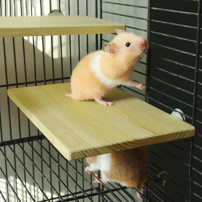 

Wood Stand Platform Pet Bird Toys Pet Parrot Hamster Perches Paw Grinding Springboard with Easy Installation Clean Cage