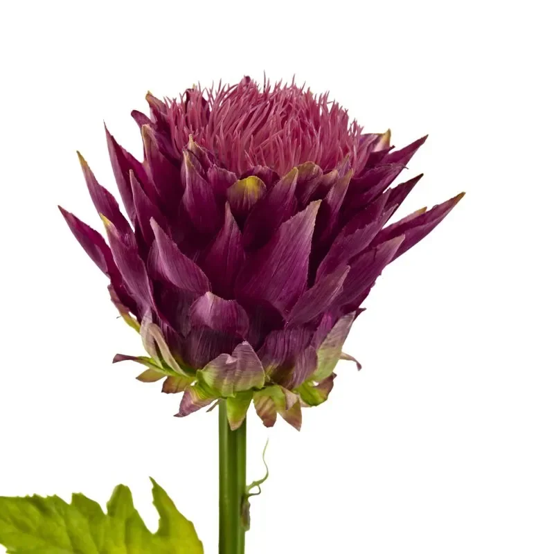 

Elegant Tropical & Artificial Flower Collection (Set of 6)