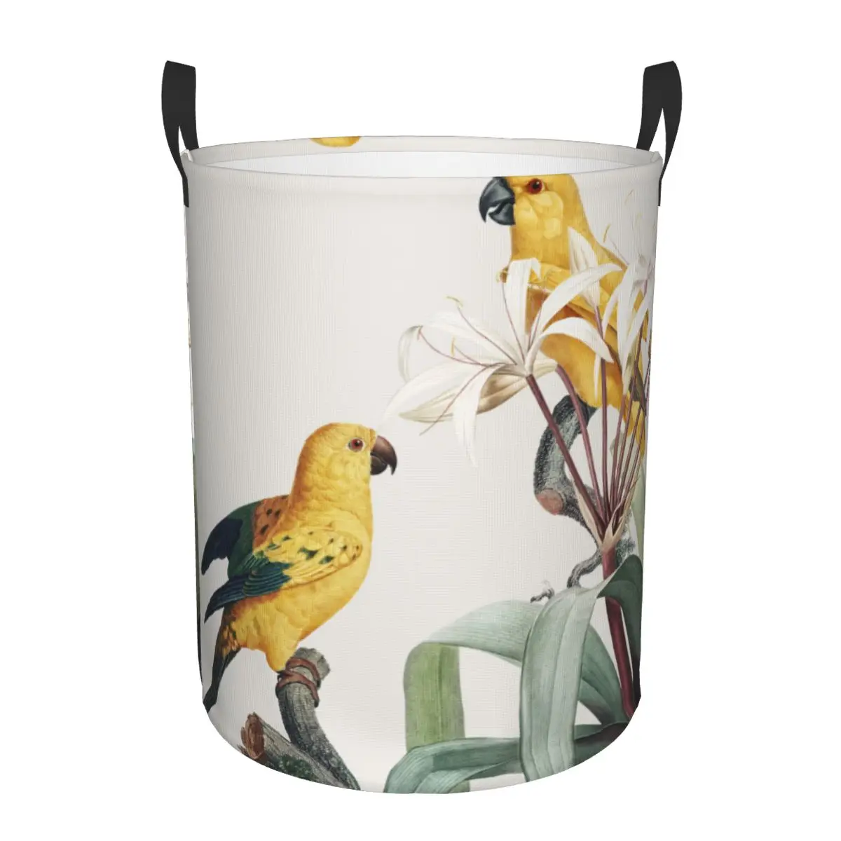 

Folding Laundry Basket Macaw Tropical Illustration Round Storage Bin Large Hamper Collapsible Clothes Toy Bucket Organizer