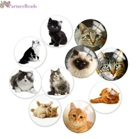 cat round photo glass cabochon demo flat back making findings 20mm snap button n2381