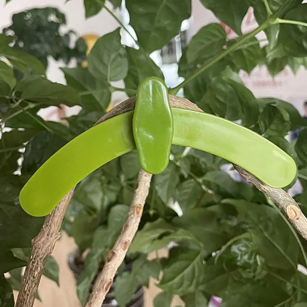 

Branch Puller Branch Holder Clip Iron Stand for Plants Adjustable Plant Accessories Reusable Plastic Clamp Greenhouses Graf O6X0