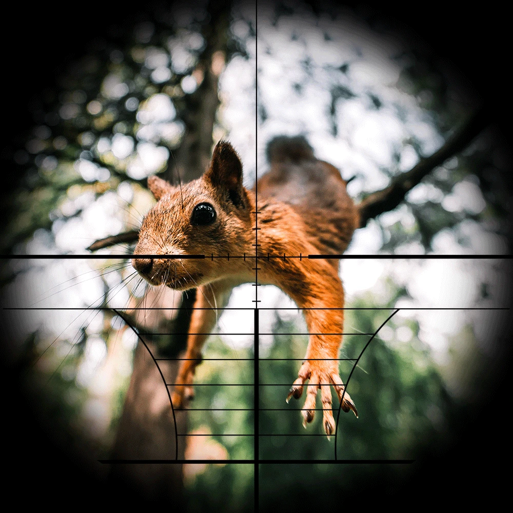 Прицел Bestsight 3-9x40 EG тактический оптический прицел для охотничьего оружия