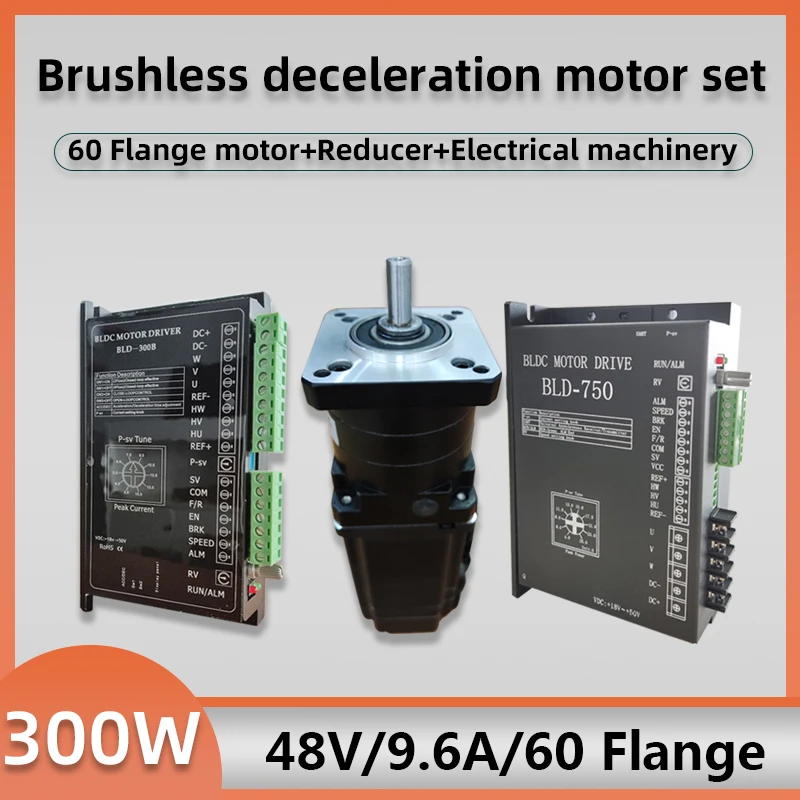 60 фланцев 48 В 300 Вт низкоскоростной бесщеточный двигатель постоянного тока с