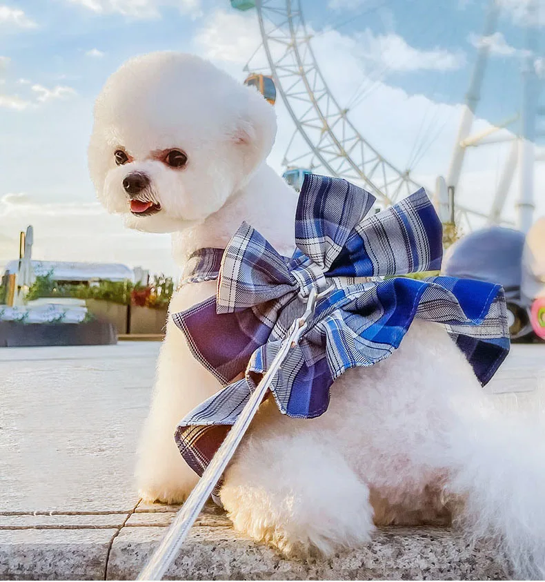 

Новинка лета 2022, жилет для собак, поводок, поводок для прогулок, маленький, средний размер, милая, крутая, бежевая, приятная на ощупь внешняя в...