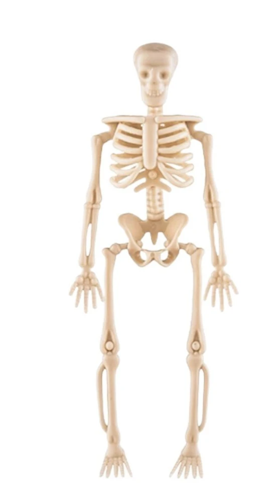 

Пластиковые скелеты MOONBIFFY для Хэллоуина