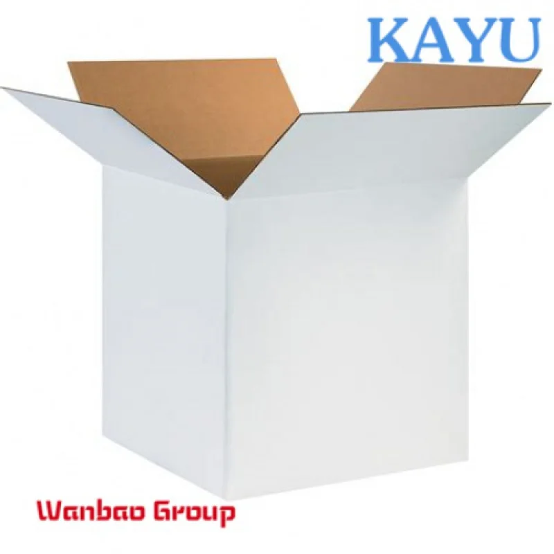 Customized shipping printed double paper boxes corrugated cardboard carton