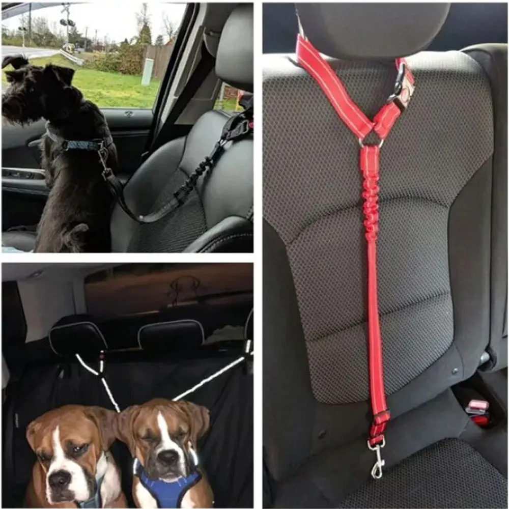 Ограждение для собак в машине. Как закрепить собаку. Как закрепить собаку. Dog автомобиль. Как закрепить собаку.