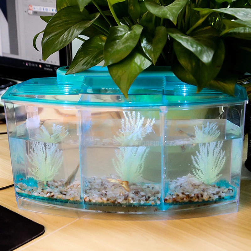 LED Light Acrylic Three Splits Betta Fish Bowl Triple Bow Fighting Isolation Breed Box for Aquarium Multifunction Pet Products
