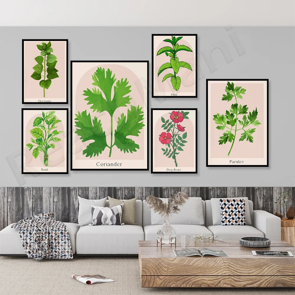 Herbal poster mint herb cumin dill basil licorice arugula fenugreek drawing botanical