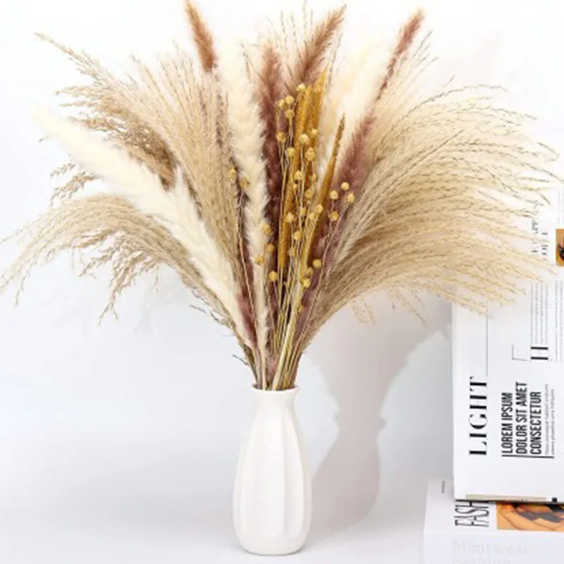 

Natural Phragmites Dried Flowers Wedding Arrangement Decoration Fluffy Pampas Grass Bouquet Boho Home Living Room Decor