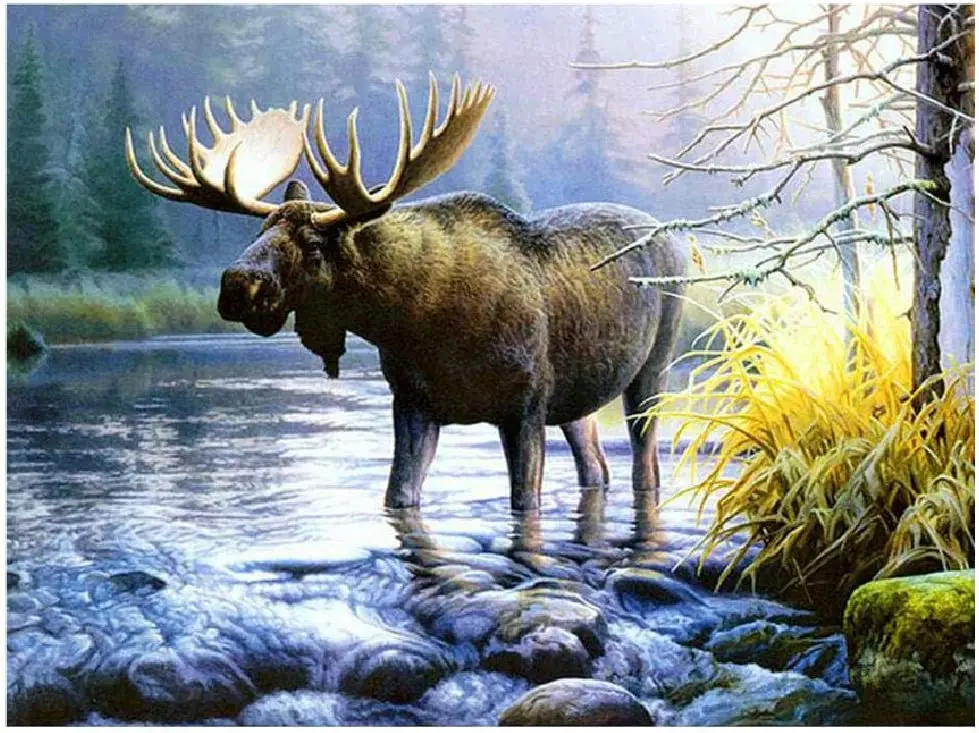 

Детская образовательная игрушка Elk Creek, 3d пазл для взрослых, деревянный пазл