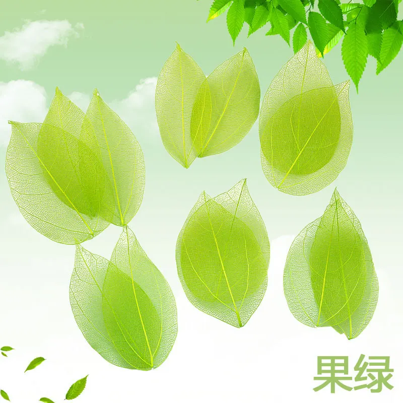 

Натуральные листья для декора LINGHUAIYI 30 шт.