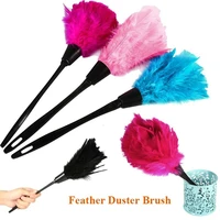 high quality portable handhold car washer plastic handle home cleaning turkey feather duster cleaner
