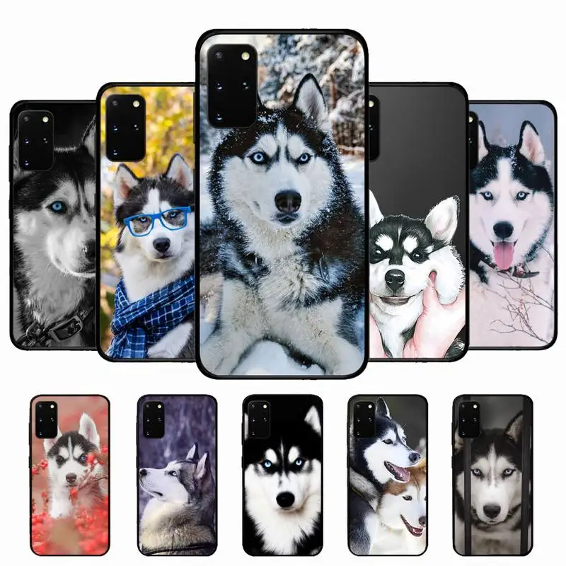 

Alaskan Huskies Dog Phone Case for Samsung S10 21 20 9 8 plus lite S20 UlTRA 7edge