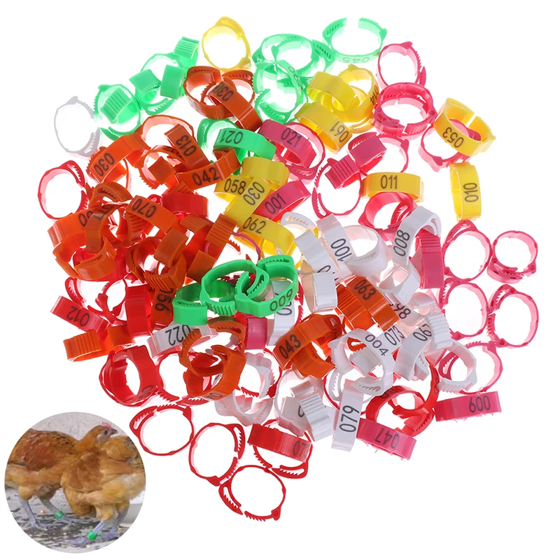 

100Pcs Chicken Foot Ring Adjustable Size Poultry Leg Digital Label Buckle Ring 6 Colors Plastic Chick Duck Goose Farm Equipment