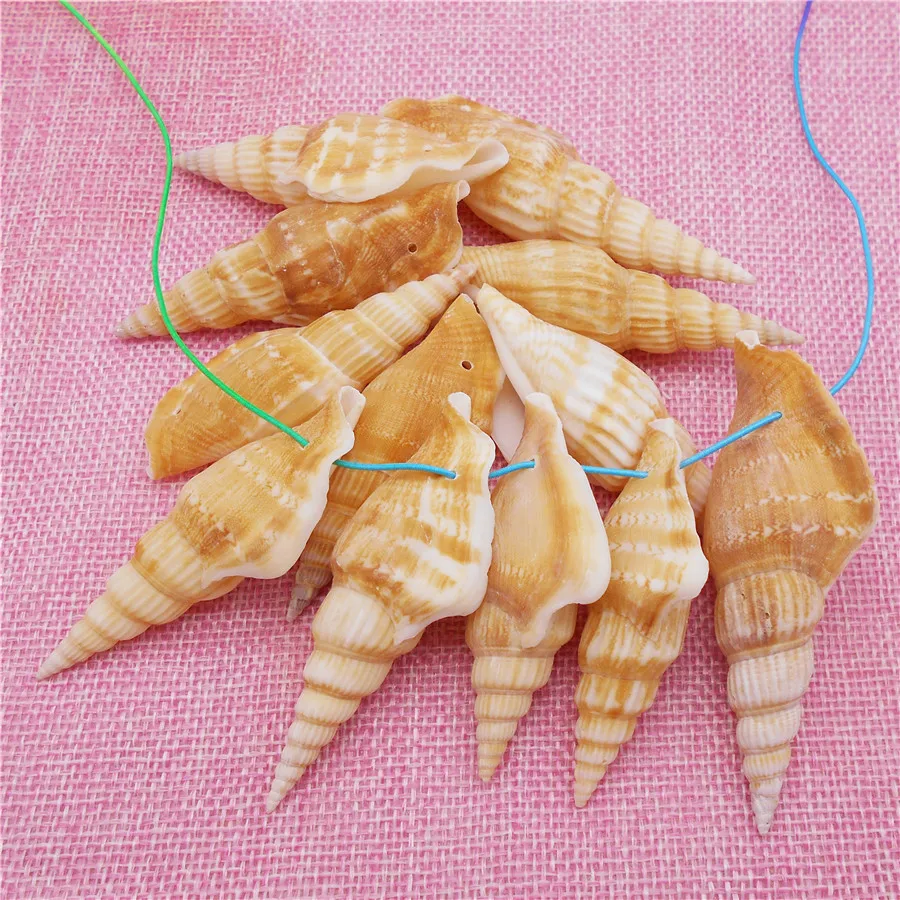 

4PCS Natural Conch Charms With Hole Sea Shell Home Decor Craft Handmade Seashell For Necklace Bracelet Jewelry Making 60-80mm
