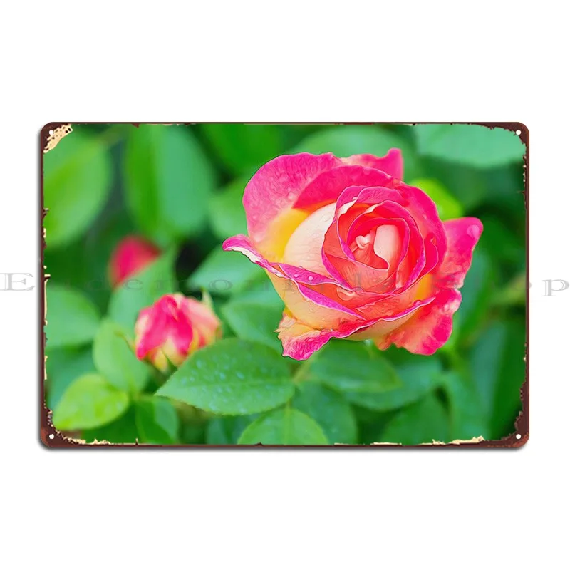 

Дождевые капли на Розе, цветущие металлические знаки, плакаты, таблички для паба, обычные строительные плакаты