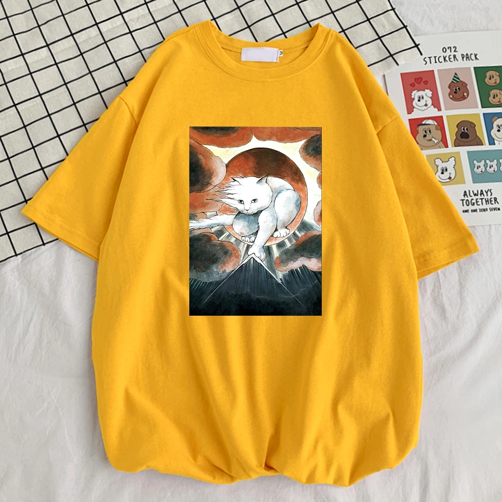 

Футболка мужская оверсайз в японском стиле, уличная одежда с принтом кота, винтажная спортивная мягкая рубашка с коротким рукавом