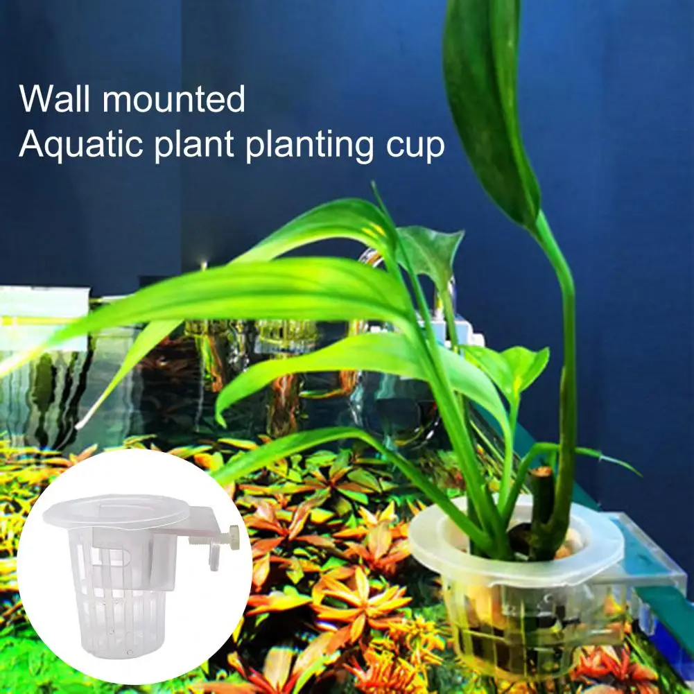 

2Pcs Hydroponic Planting Cup Durable Non-breakable Hollowed Out Aqua-plant Tank Supply Water Plant Cup Water Plant Cup