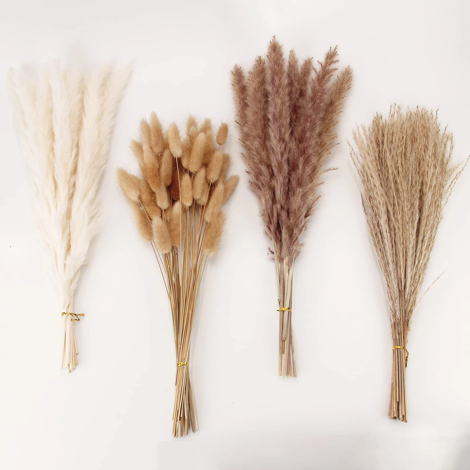 

100 PCS Pampas Grass Contains Bunny Tails Dried Flowers, Reed Grass Bouquet for Farmhouse Wedding Boho Flowers Home Table Decor