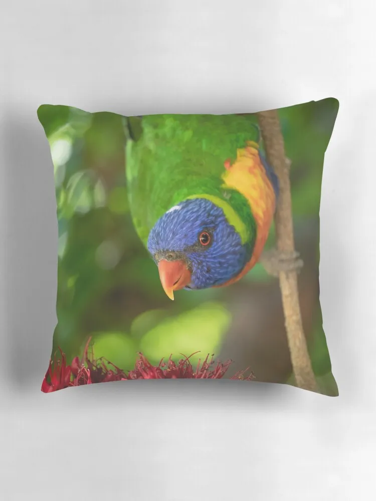 Радужная декоративная подушка в клетку для дивана Роскошный чехол подушки