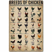 metal tin sign breeds of chicken poultry infographics educational poster knowledge for school home kitchen cafe wall plaque 12x1