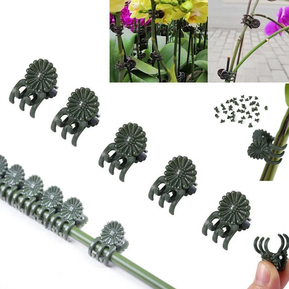 

50Pcs Garden Plant Clips Grafting Clips Support Clips Tied Vine Clips Flower Fruit Vegetable Butterfly Orchid Special Clips