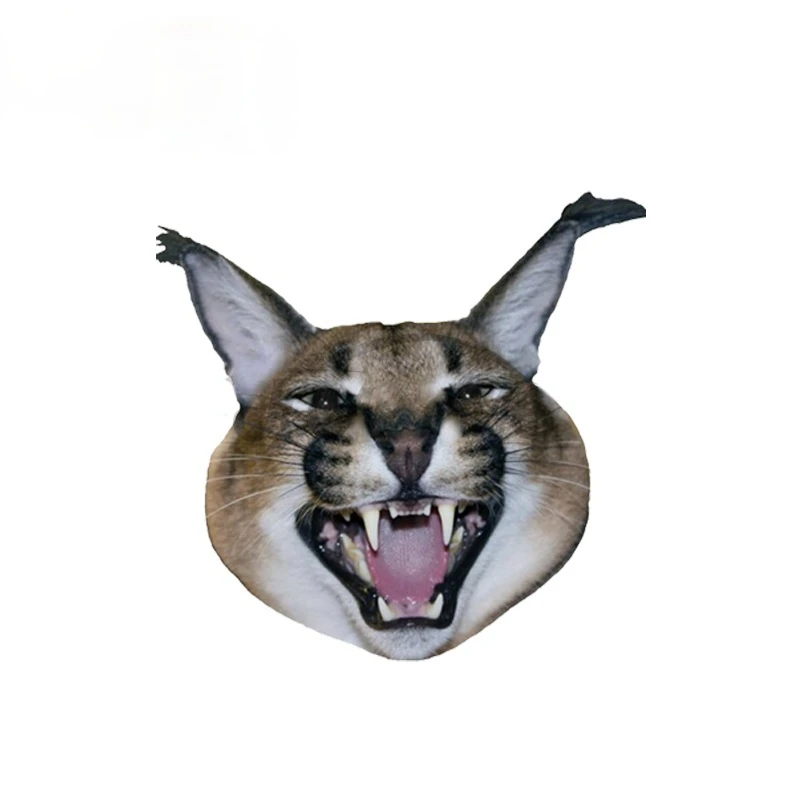 

Виниловая наклейка для автомобиля, 15x13 см