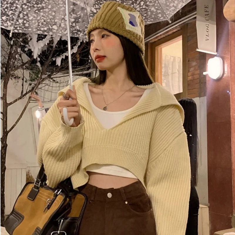 

Fashion short V-neck loose long-sleeved knitted jacket women