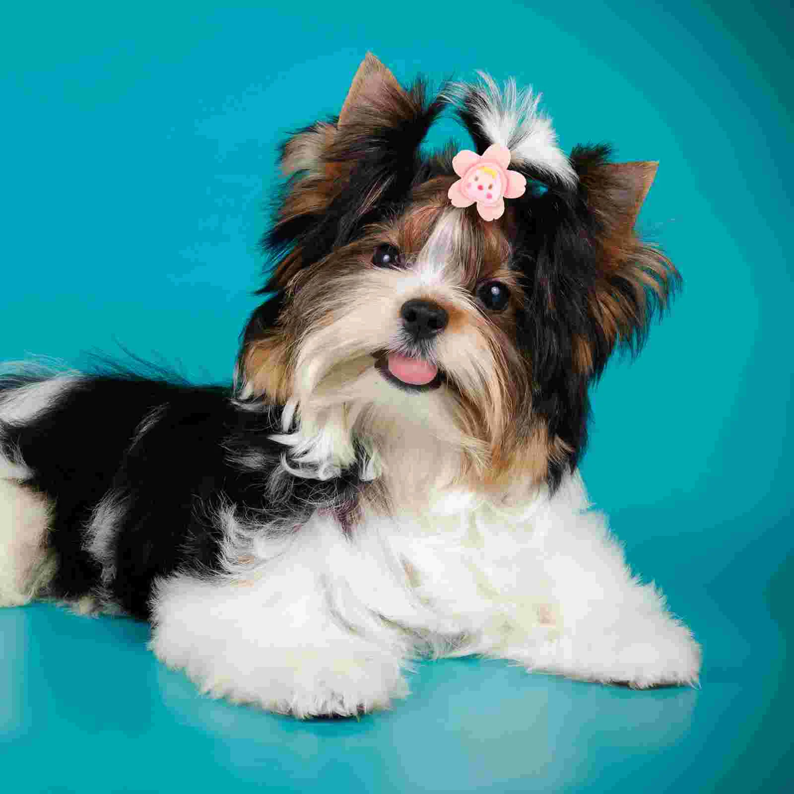 

10 Pcs Pet Rubber Band Decorative Hair Tie Ties Dogs Girls Party Hairbands Accessories Rope