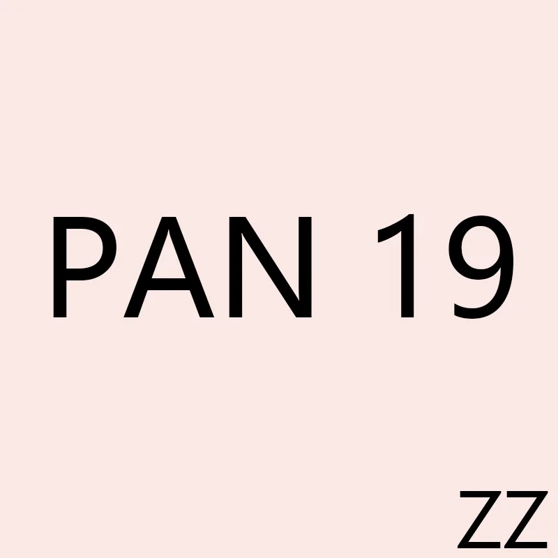 

PAN ZZ 19