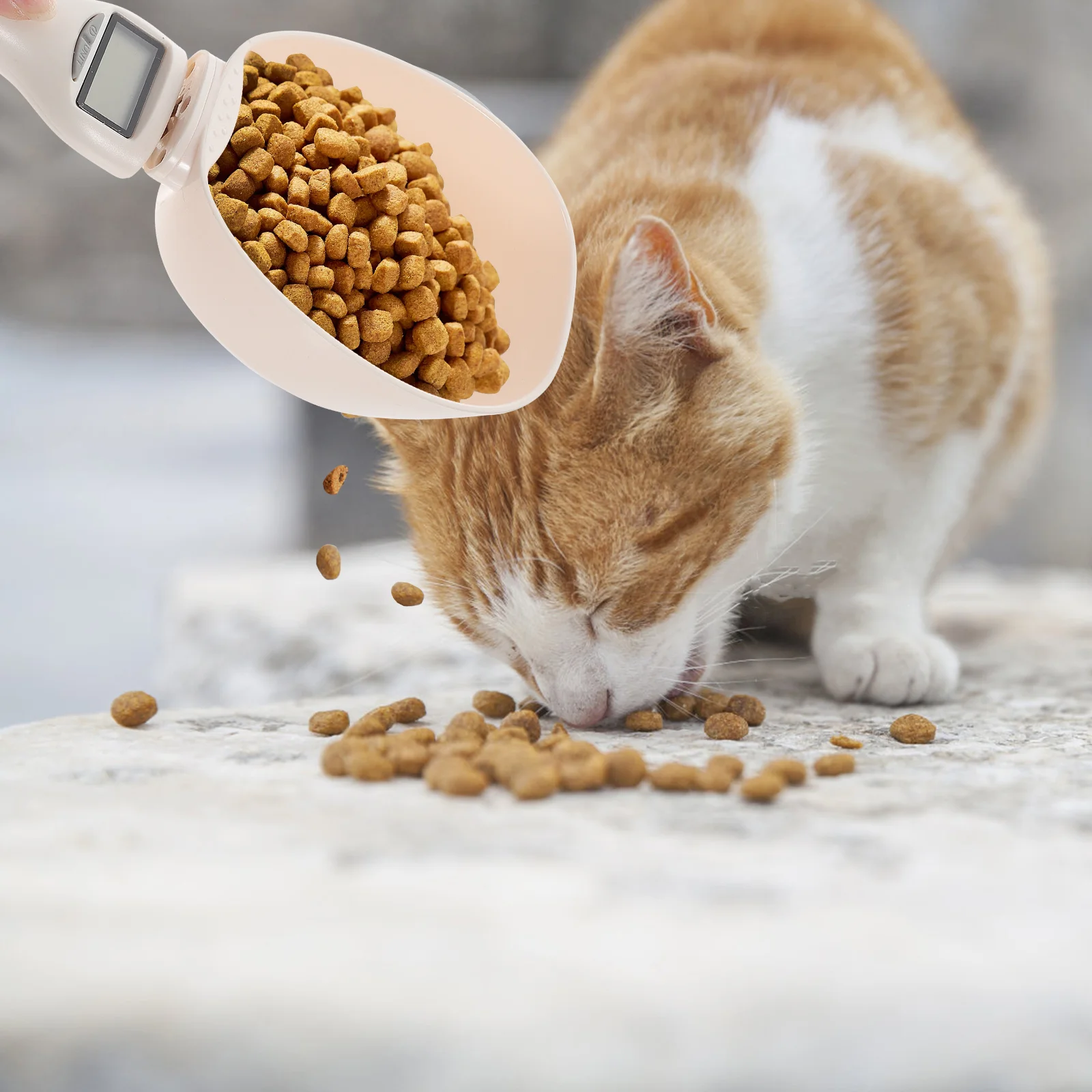

Plastic Measuring Cup Weighing Spoon Cat Food Metering The Spoons White Abs Pet Feeding