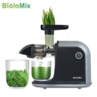 Медленная соковыжималка BioloMix с бесшумной моторной обратной функцией, соковыжималки для фруктов и овощей с высоким питательным веществом
