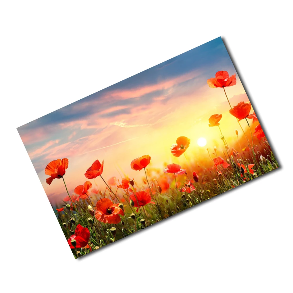 

Настенная подвеска, художественная наклейка, подвесная картина, Бытовые аксессуары, орнамент