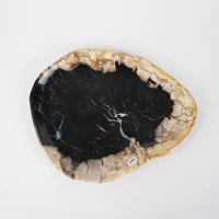 Black and Brown Color Artisan-crafted Natural Petrified Wood Tray Unique Collectibles Polished Stone Plates Decorative Organizer