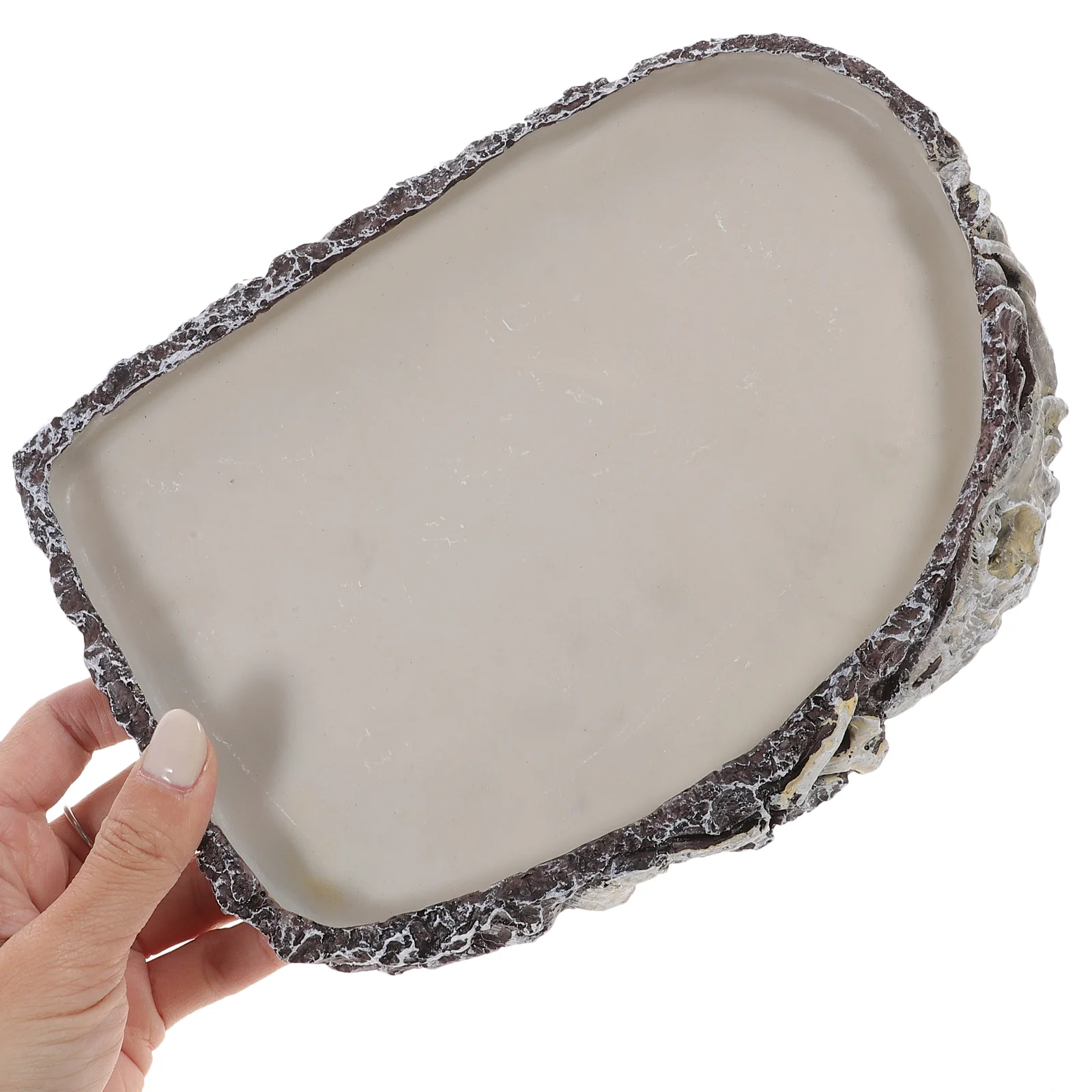 Ящерица Змея Бассейн для воды Рептилия Миска еды Смола Блюдо Животное Борода