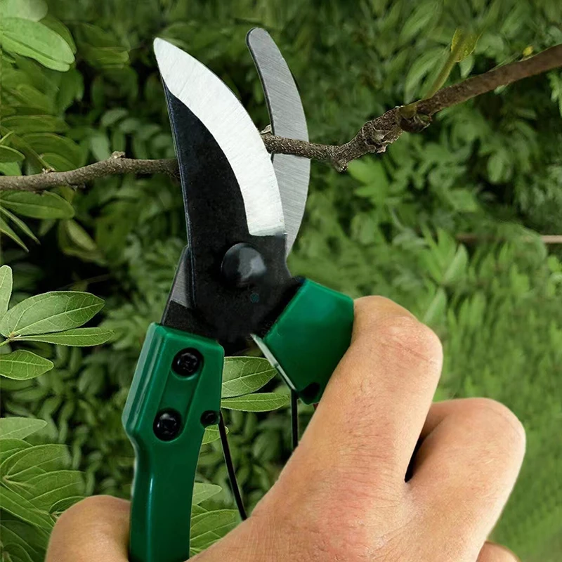 

Pruning Shears Gardening Branch Shears Fruit Branch Scissors For Trimming Flowers And Trees Hand Pruner Household Garden Tools