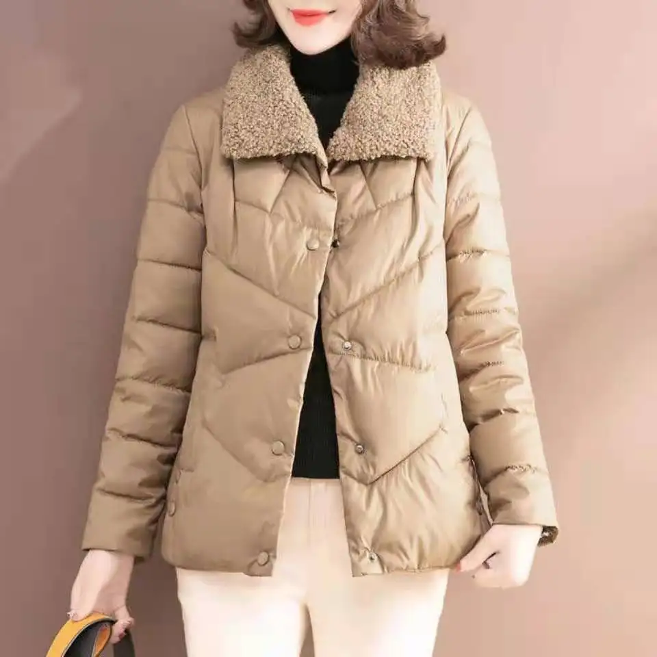 Women's Winter Super Hot Coat Parka Plus Size Light Thin Women's Tops Cropped Jacket Cheap Wholesale Loose 2022 New