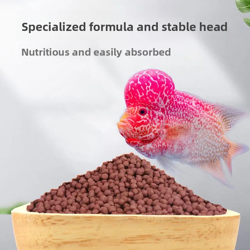 Фото Корм для рыб PAINTPET Flowerhorn Kok Booster Pellets, диета для стимуляции роста головы и улучшения окраса для цихлид, кои и гуппи. №2