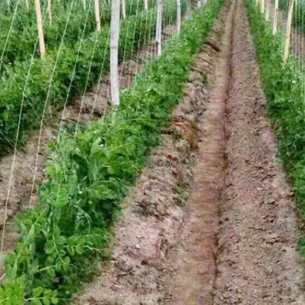 

2M Garden Plant Trellis Netting Heavy Duty Mesh Vine Landing Weaving Grow Frame For Vegetable Orchard Flower Cucumber Climb