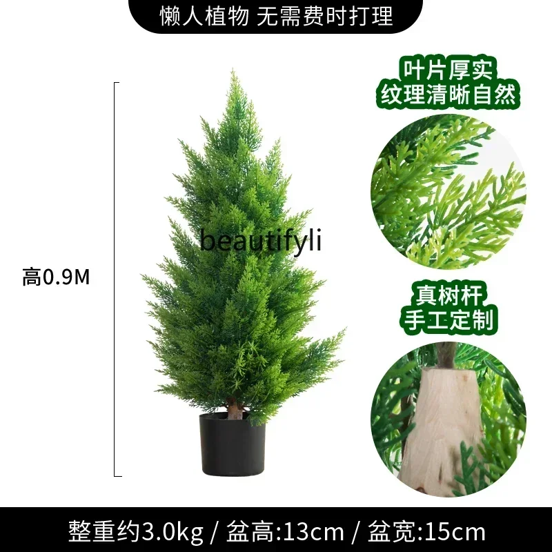 Большая эмуляционная зелень бонсай кипарис классический стиль сосна