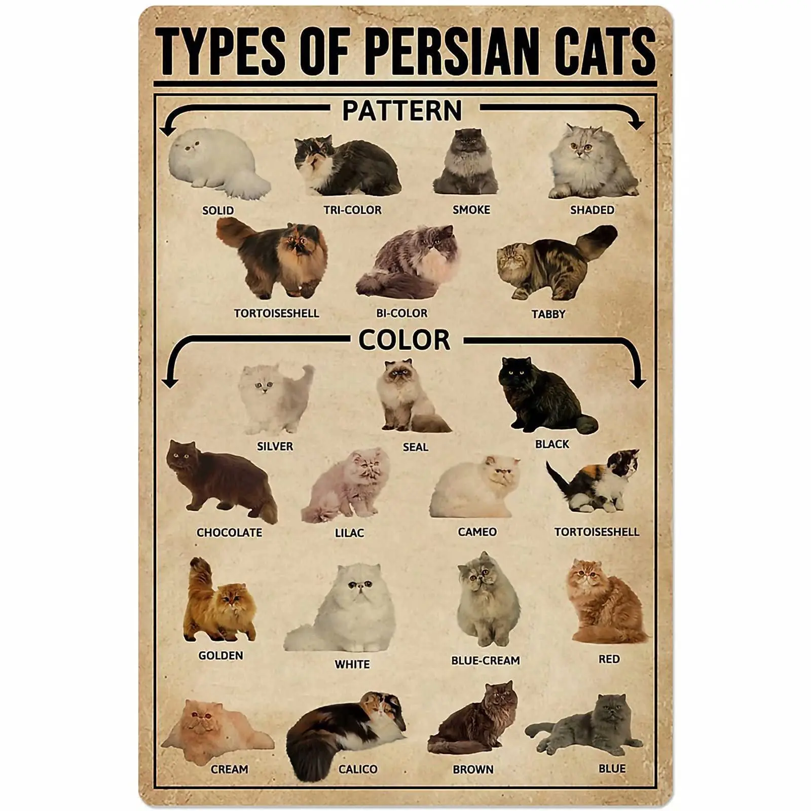 

Veidsuh Types of Persian Cats Vintage Poster Metal Tin Signs Iron Painting Plaque Wall Decor Bar Club Novelty Bathroom Kitchen T