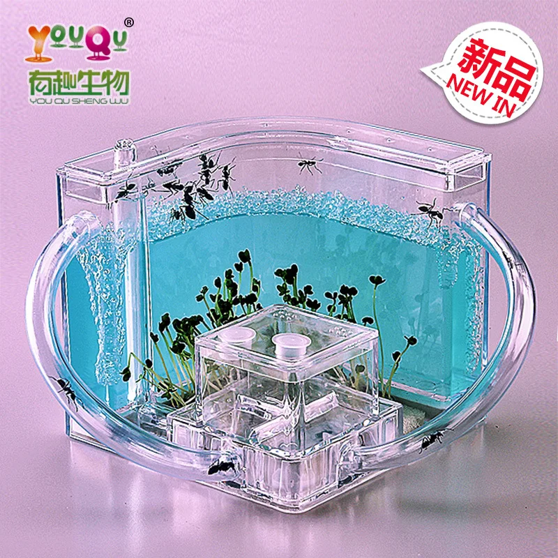 

Interesting Creatures Ant Workshop Ant Villa Home Castle Children Educational Toys Children Toys Science Toys