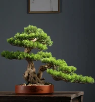 simulated welcoming pine bonsai new chinese style porch living room decoration solid wood artificial tree green planting cliff